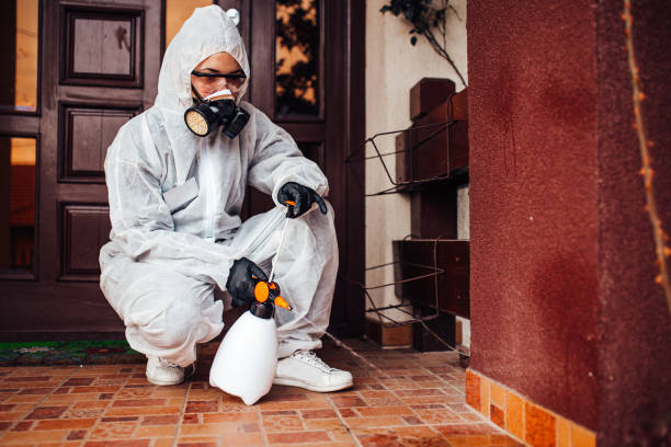 Reliable Wasp Removal contractor in Johnson Lane, NV by Show Me Pest Control